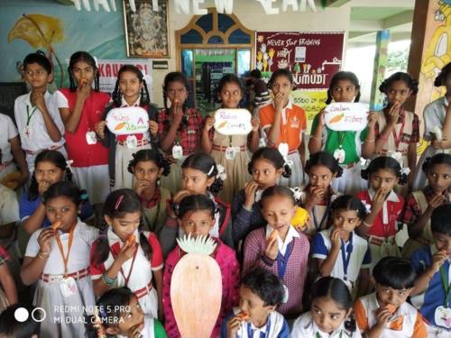 50940276 2308593309172924 6010704089623560192 o